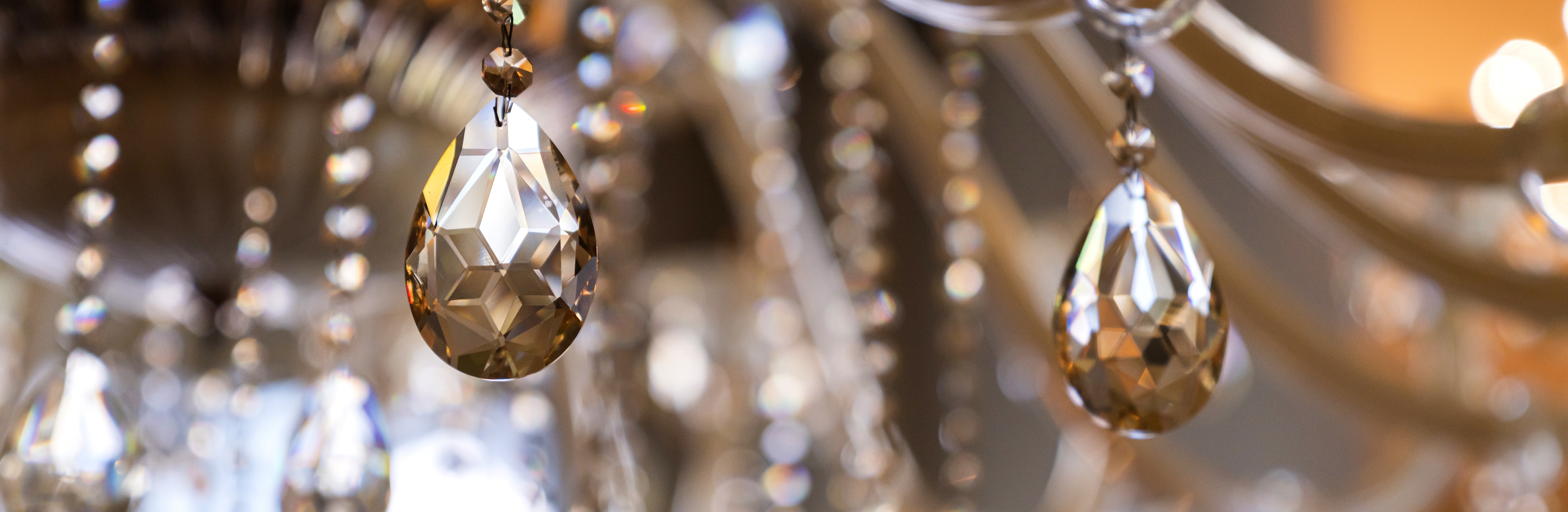 Honey Bunny Wax Saloon background