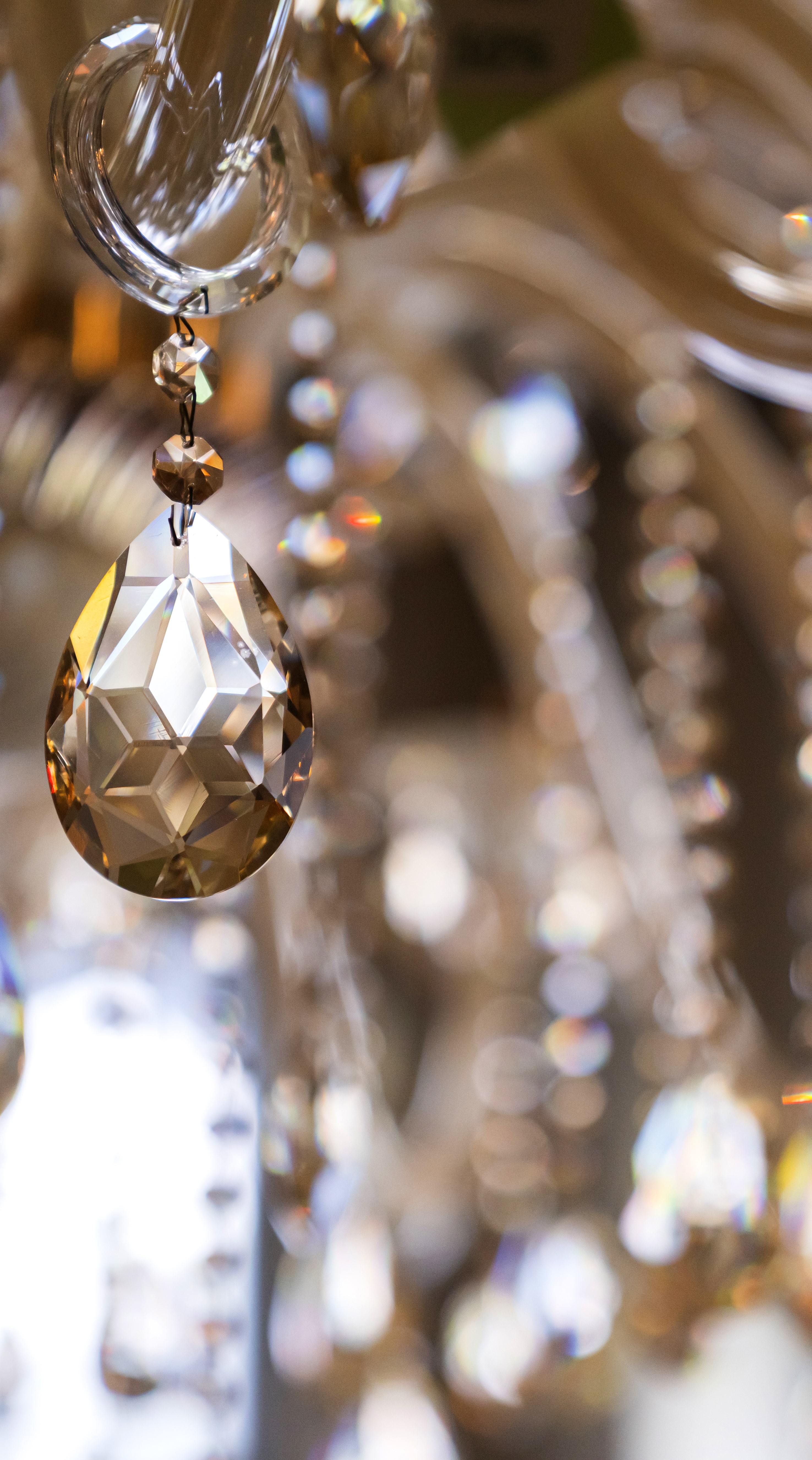 Honey Bunny Wax Saloon background